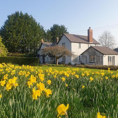 Lower House B&B Adforton Leintwardine Esterno foto