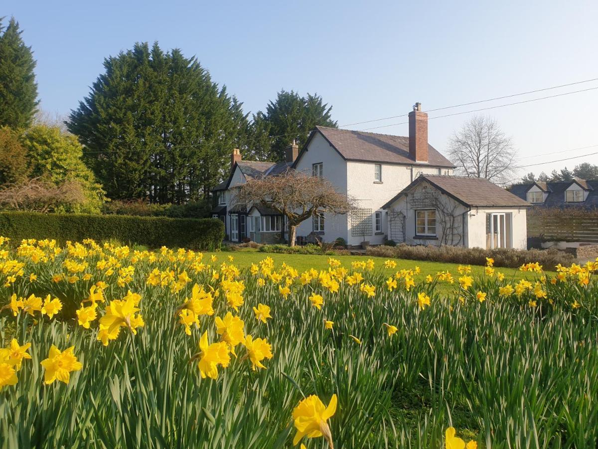 Lower House B&B Adforton Leintwardine Esterno foto